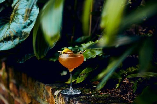 Kimpton Sylvan Hotel Buckhead Atlanta