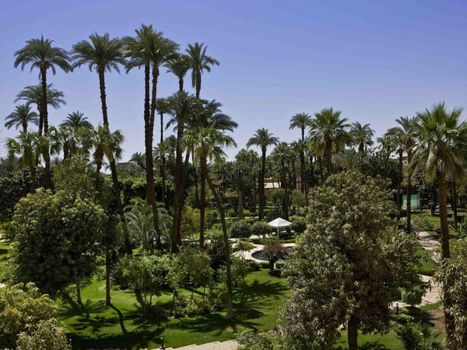 Sofitel Winter Palace Luxor
