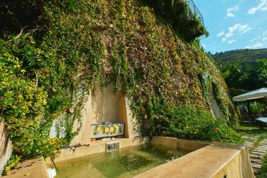 Hotel Botanico San Lazzaro