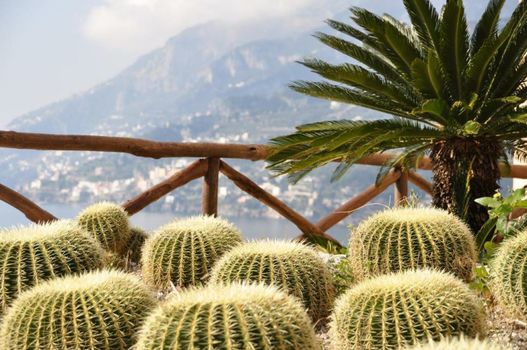 Hotel Botanico San Lazzaro