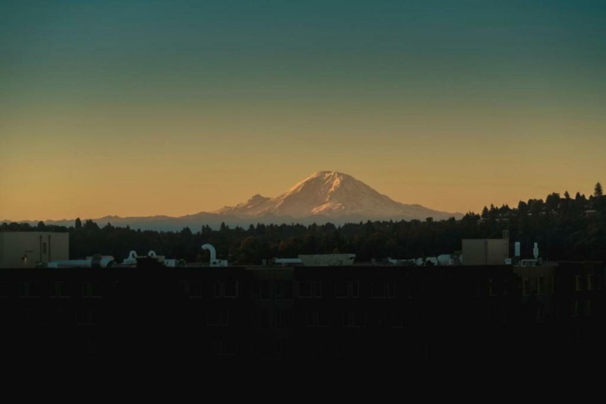Staypineapple, Watertown Hotel, University District Seattle