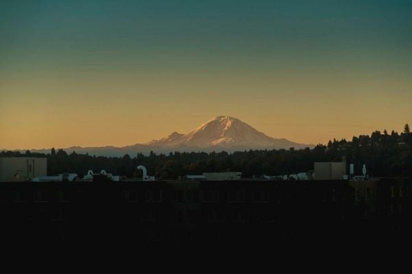Staypineapple, Watertown Hotel, University District Seattle
