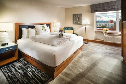 Staypineapple, Watertown Hotel, University District Seattle