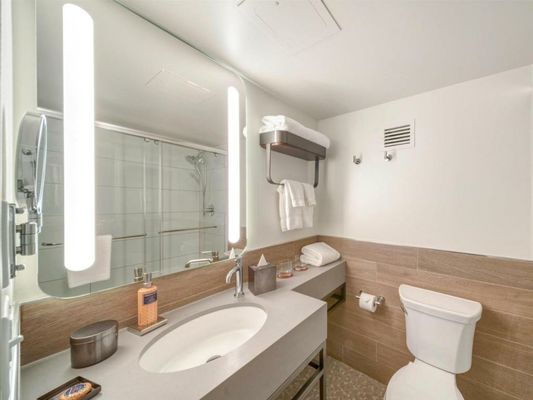 The Wildbirch Hotel - JdV by Hyatt