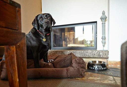 Hotel Tannenhof*****Superior