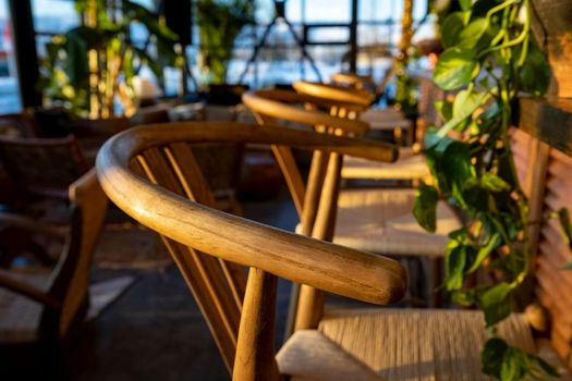 The Greenhouse Hotel