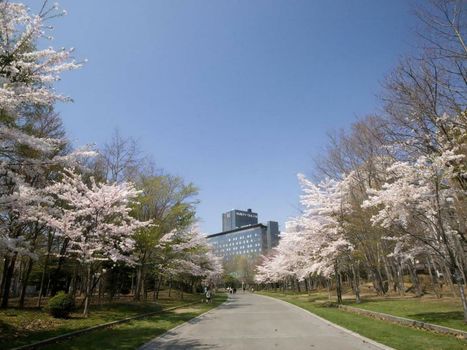 Sapporo Park Hotel
