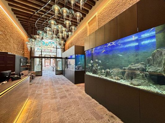 Hotel Aquarius Venice - Ascend Collection