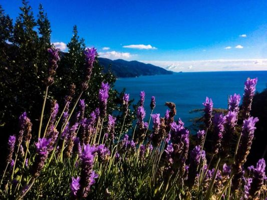 Albergo Suisse Bellevue