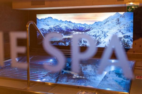 Hotel Waldhaus am See