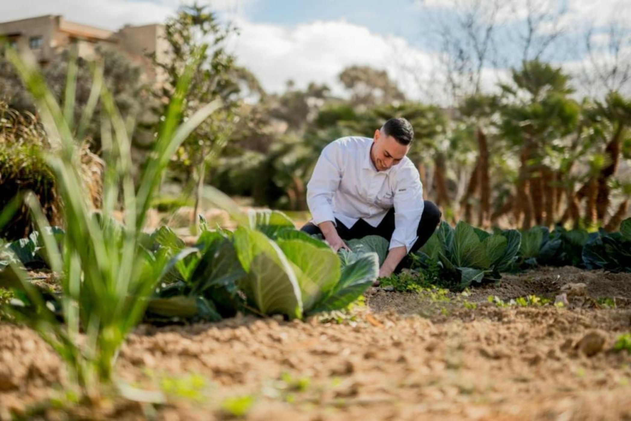 Kempinski Hotel San Lawrenz