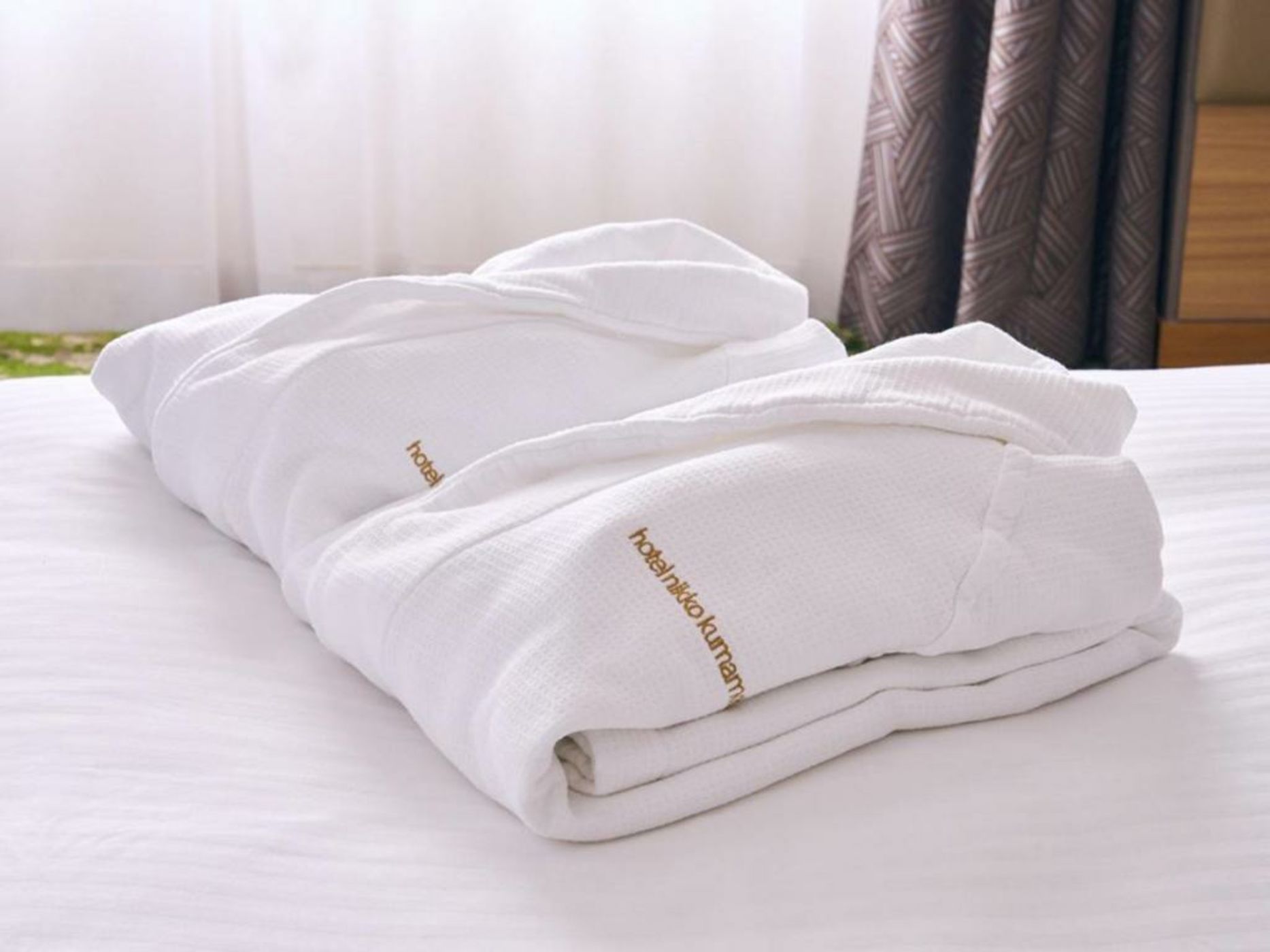 Hotel Nikko Kumamoto