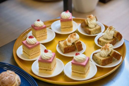 Okayama Koraku Hotel