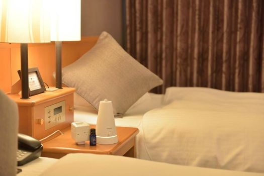 Okayama Koraku Hotel