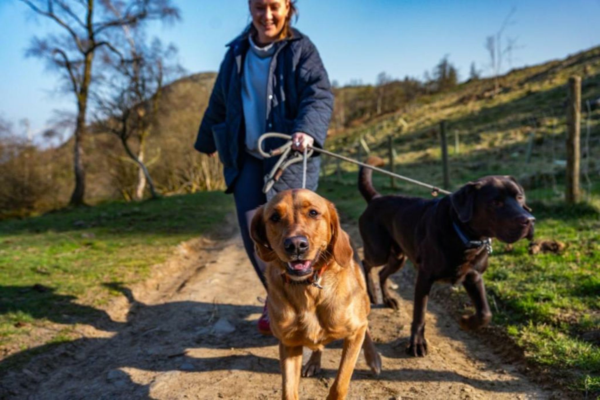 Lakeside Hotel and Spa