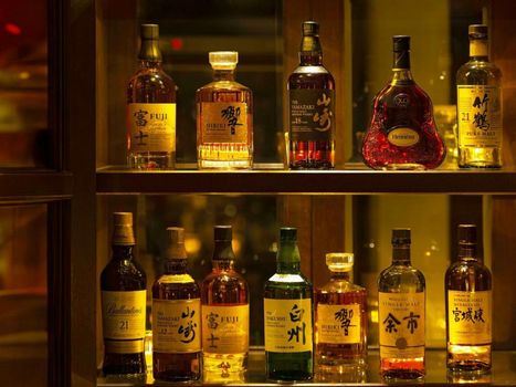 Kumamoto Hotel Castle