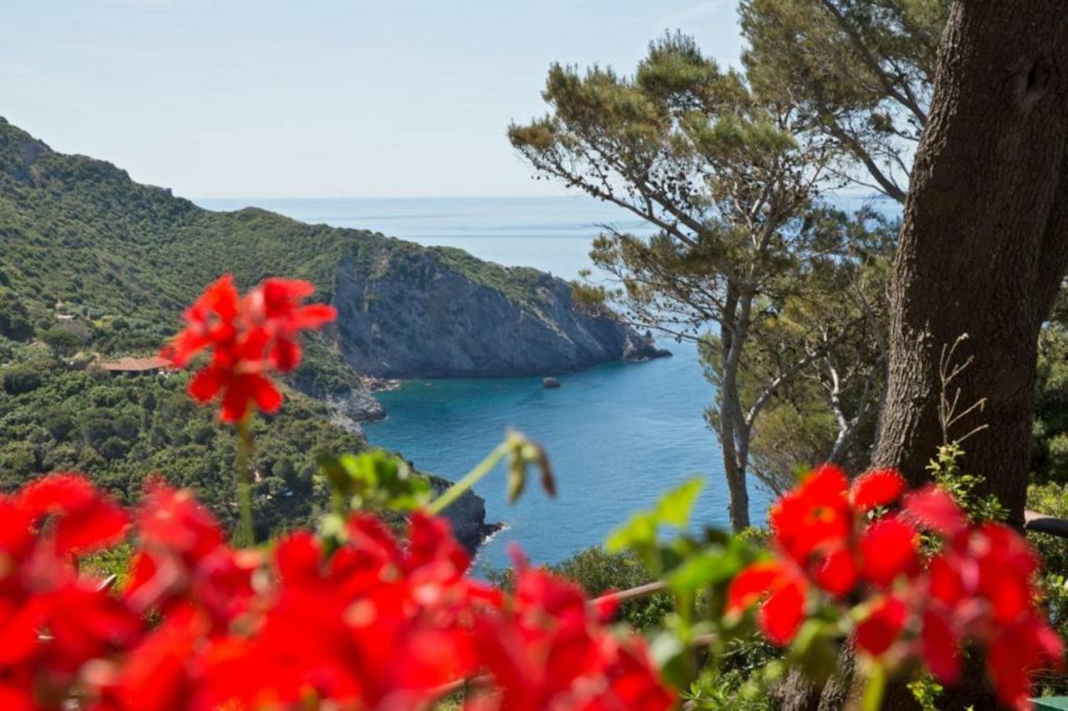 Boutique Hotel Torre Di Cala Piccola