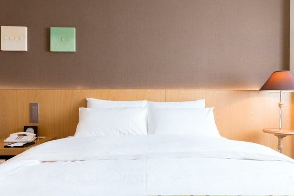 Matsumoto Marunouchi Hotel