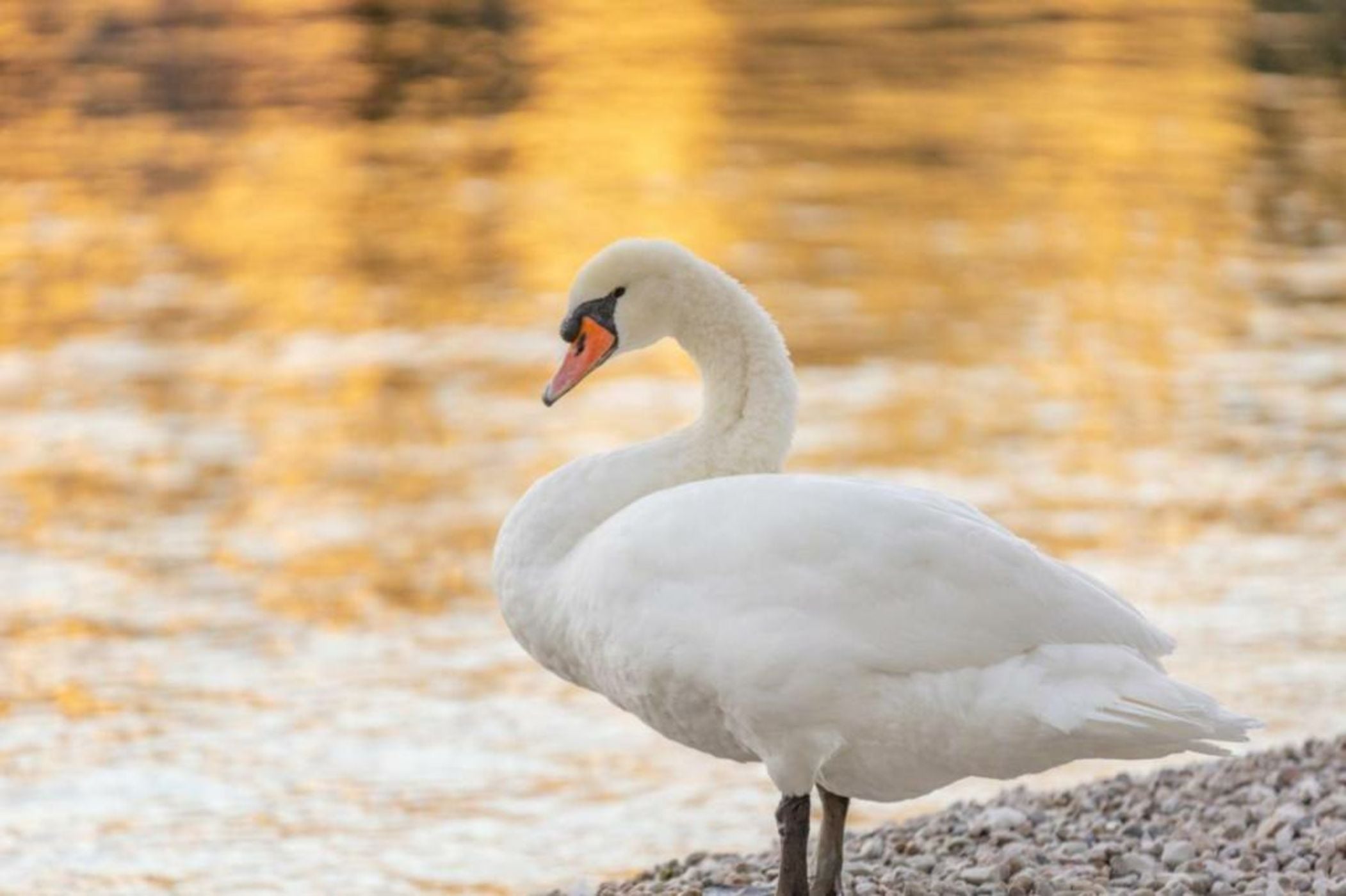 Hotel Val Di Sogno - Adults Only