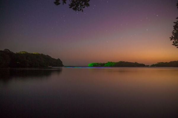 Hotel San Pedro de Majagua