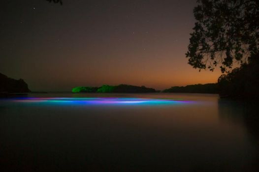 Hotel San Pedro de Majagua