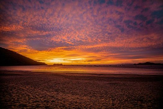 Hotel Bosque del Mar Playa Hermosa