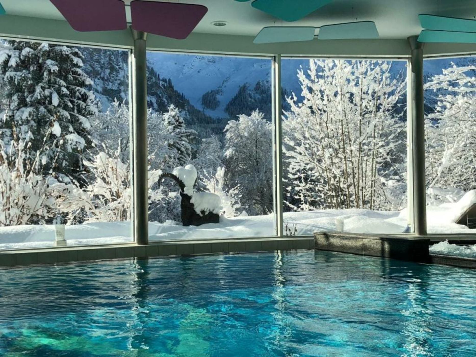 Hotel Waldegg - Adults only