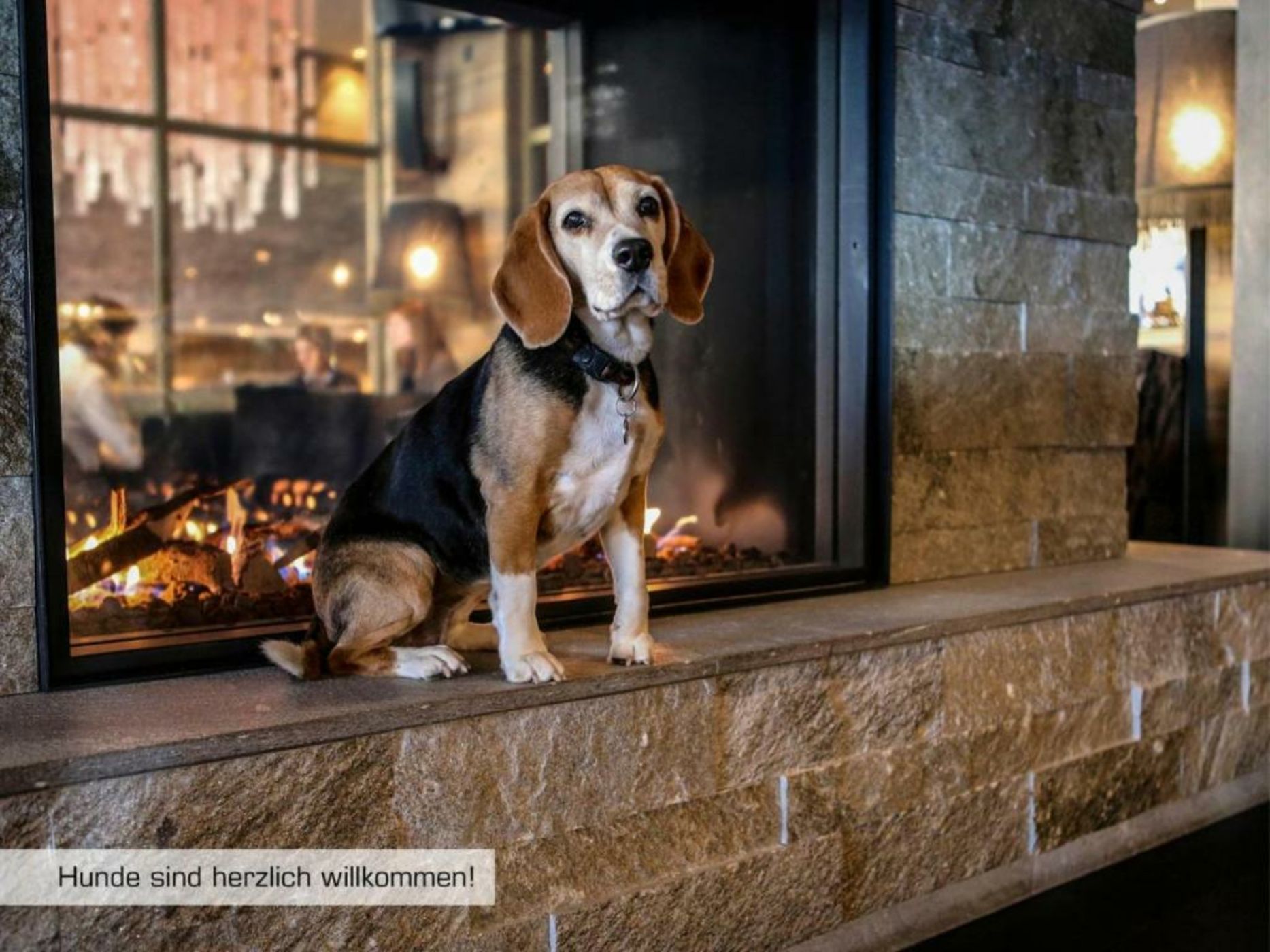 Grischa - Das Hotel Davos