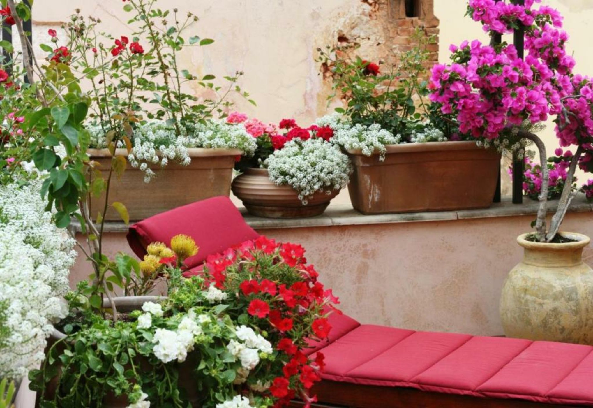 Ionas Boutique Hotel