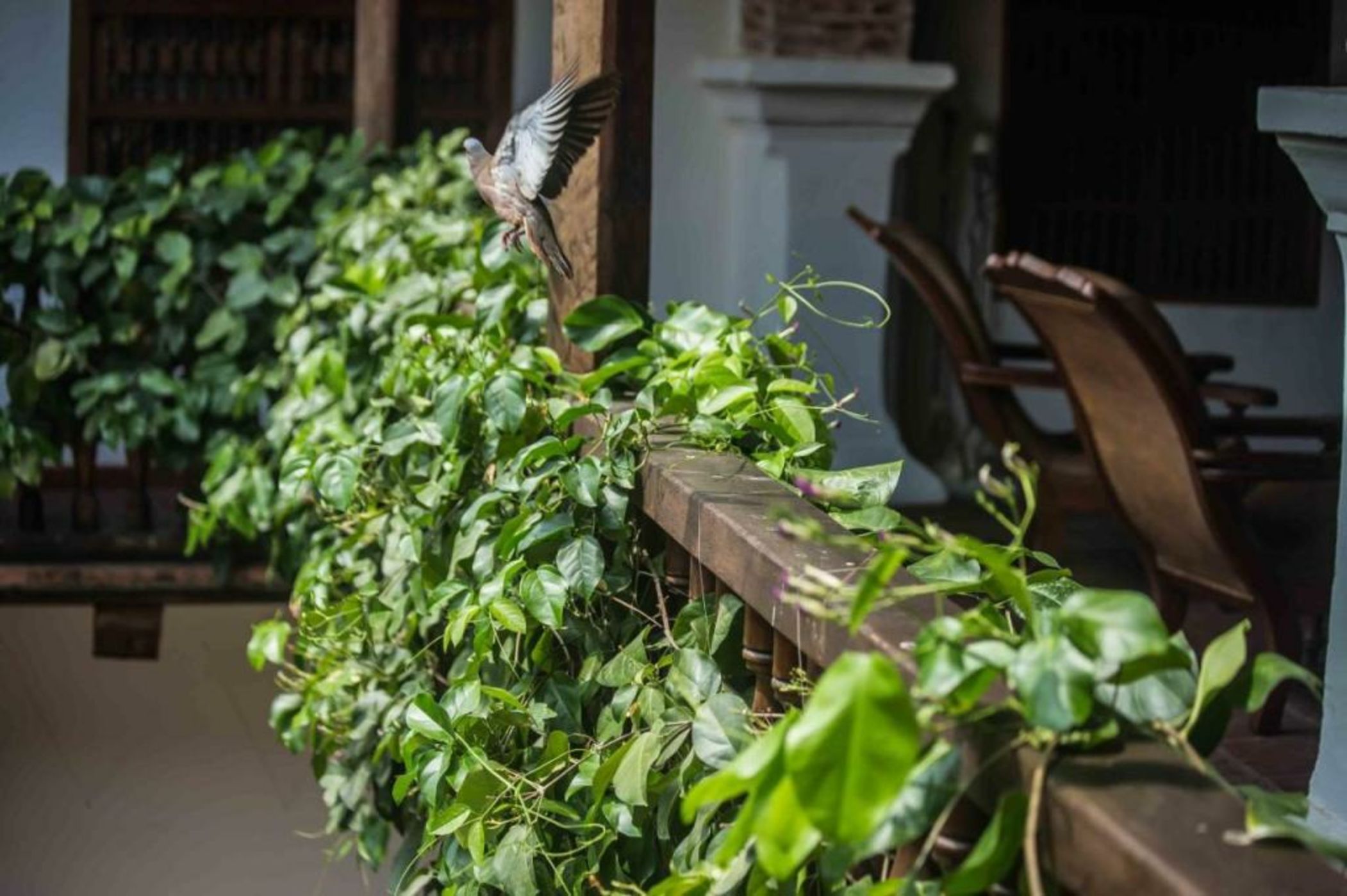 Hotel Boutique Casa Del Arzobispado