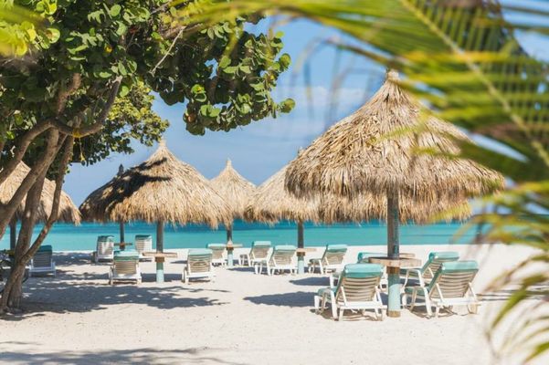 Boardwalk Boutique Hotel Aruba - Adults Only