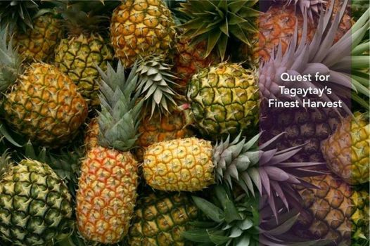 Quest Hotel Tagaytay