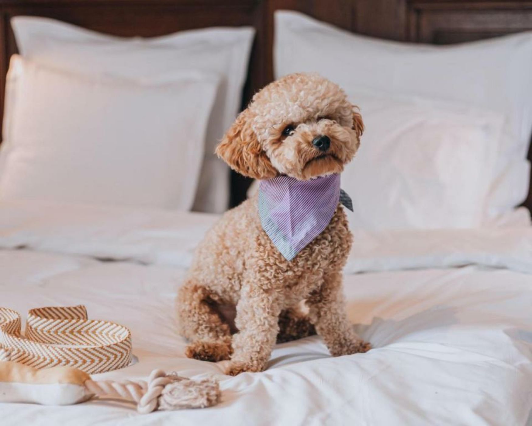 STORY HOTEL STOCKHOLM STUREPLAN, in JdV by Hyatt