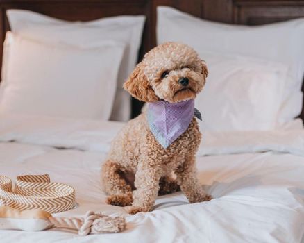 STORY HOTEL STOCKHOLM STUREPLAN, in JdV by Hyatt