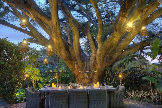 Alta Las Palomas Hotel