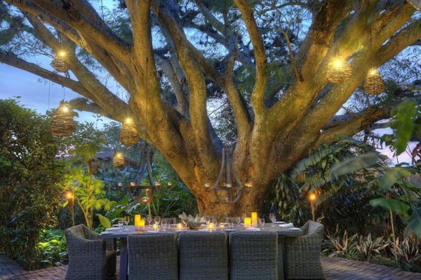 Alta Las Palomas Hotel