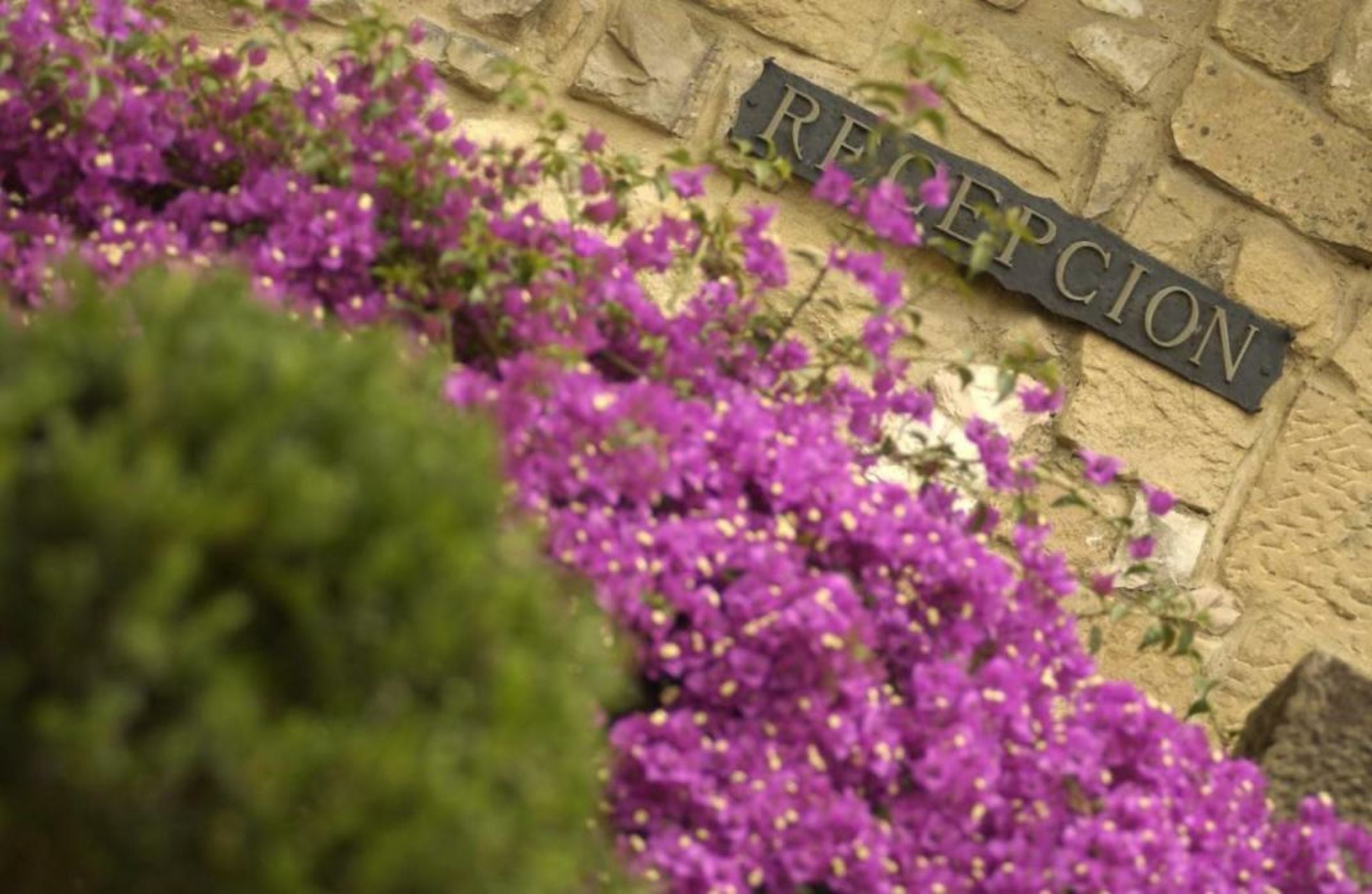 Hotel Palacio Obispo