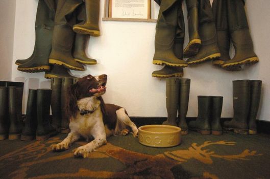 The Devonshire Arms Hotel at Bolton Abbey