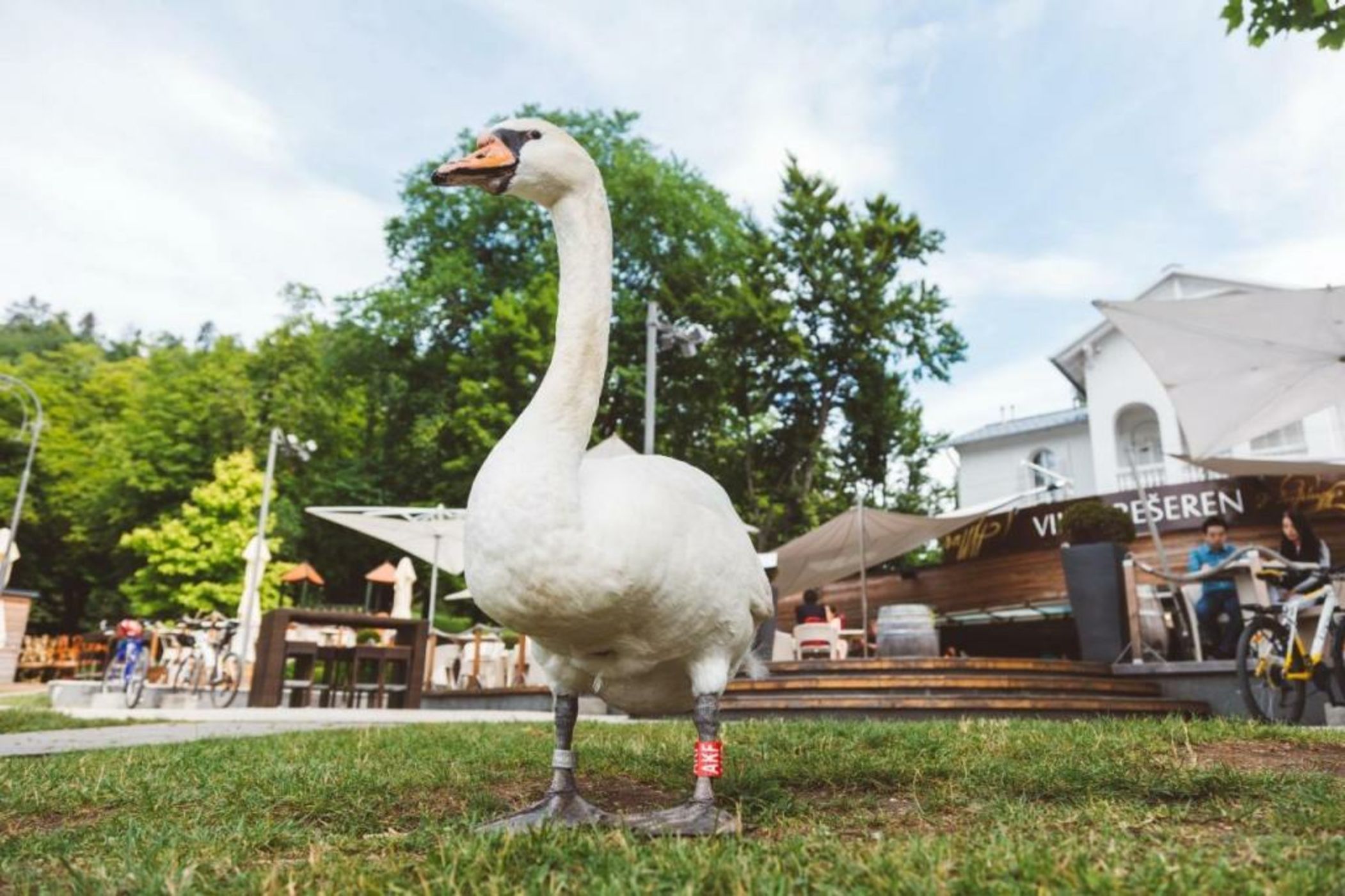 Penzion Vila Prešeren