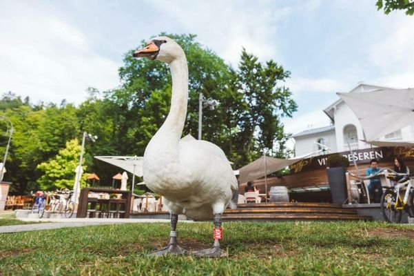 Penzion Vila Prešeren