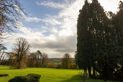The Coed-Y-Mwstwr Hotel