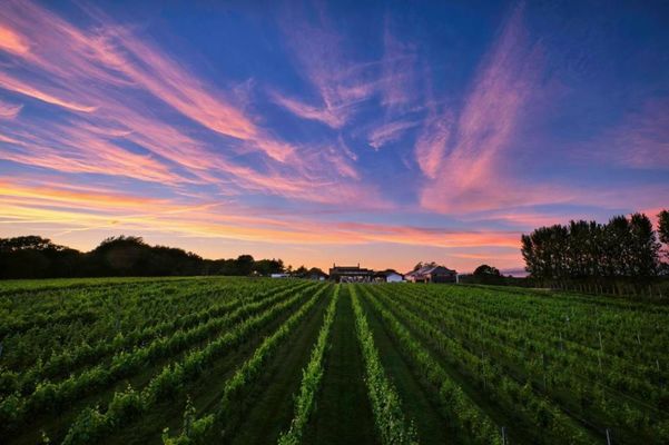 Llanerch Vineyard Hotel