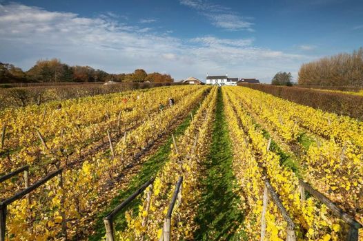 Llanerch Vineyard Hotel