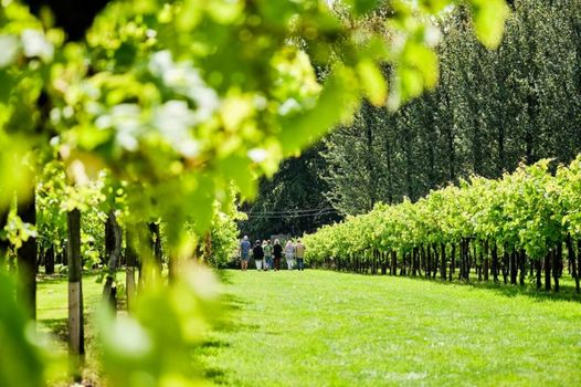 Llanerch Vineyard Hotel