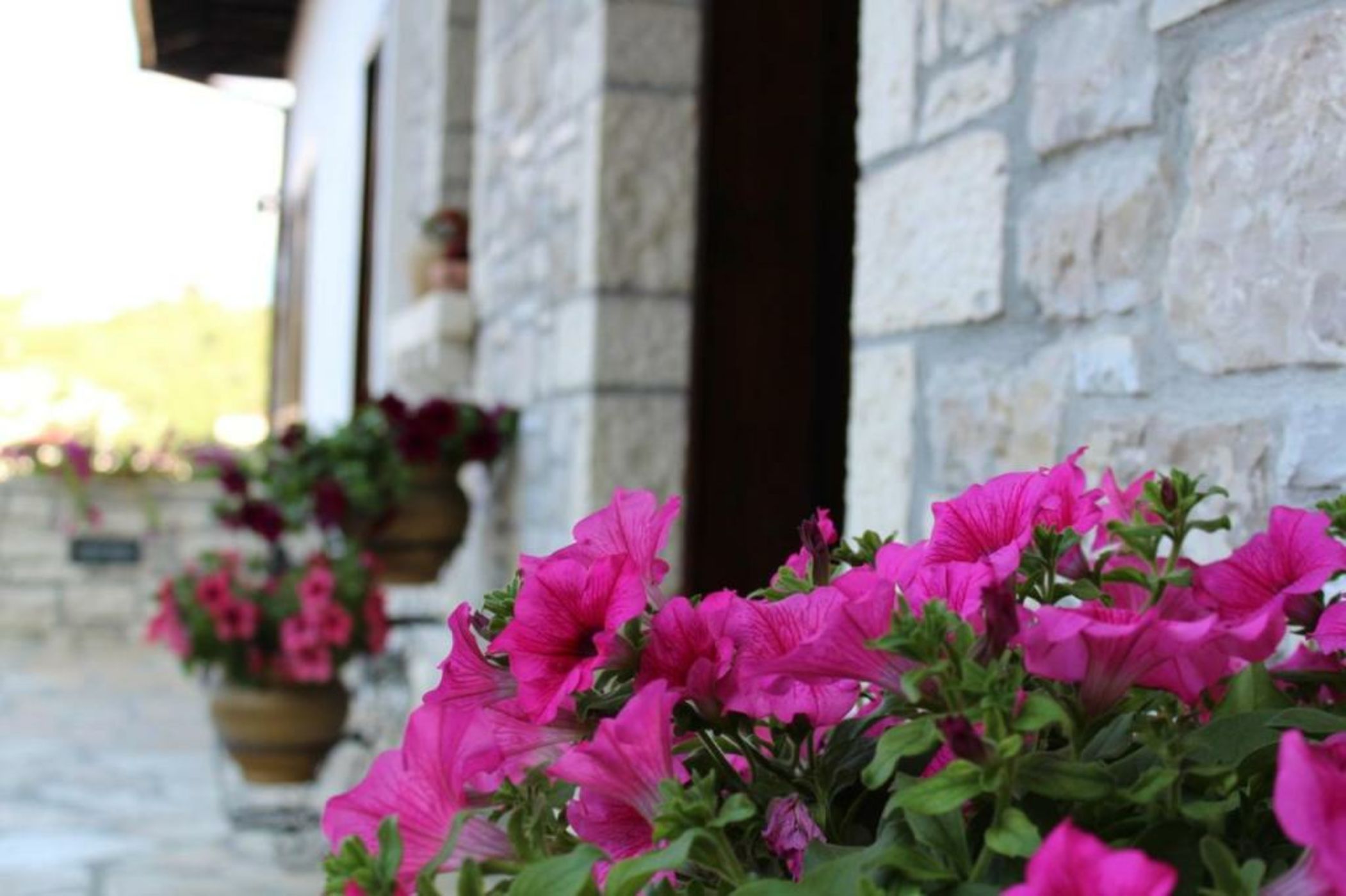 Hotel Vila Aleksander