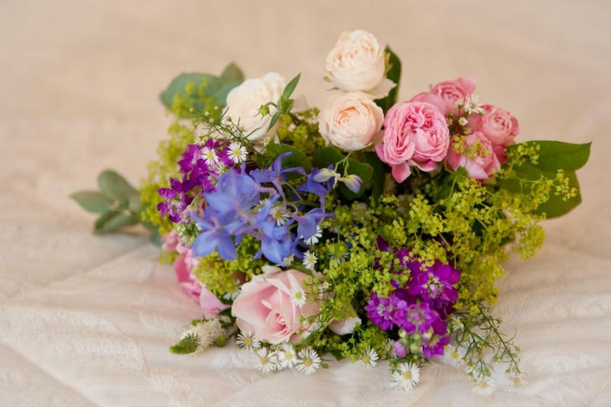 Marshall Meadows Manor House