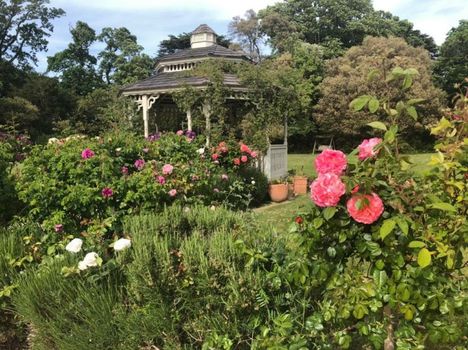 Albert Cottage Hotel