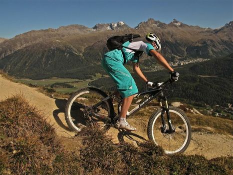 All In One Hotel - Inn Lodge / Swiss Lodge