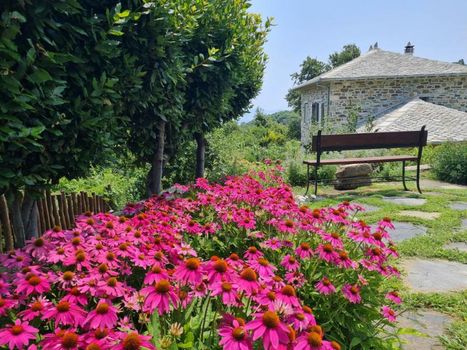 Amanita boutique hotel