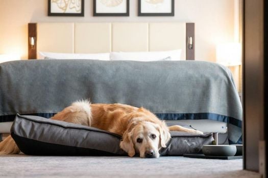 Hotel Kö59 Düsseldorf - Member of Hommage Luxury Hotels Collection